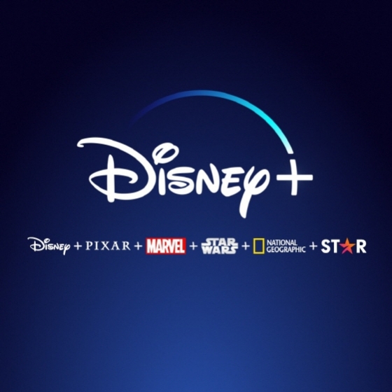 디즈니플러스가 11월12일 한국에서 런칭한다. 
