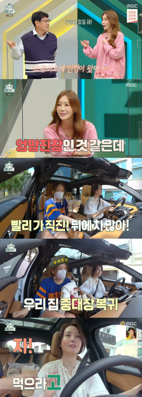 /사진=MBC &#039;호적메이트&#039; 방송화면 캡처