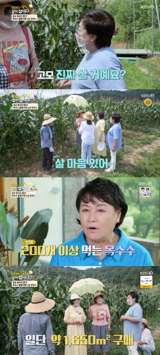 /사진=KBS 2TV '박원숙의 같이 삽시다 시즌3' 방송화면 캡처