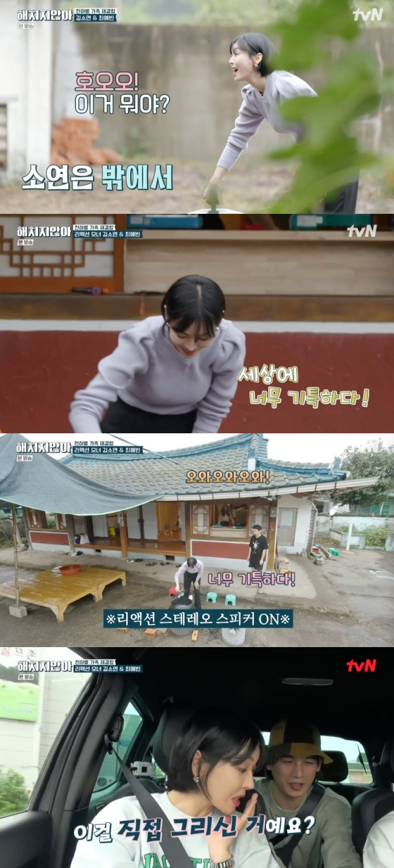 /사진=tvN '해치지 않아' 방송화면 캡처