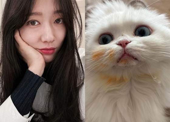 /사진=박신혜 인스타그램