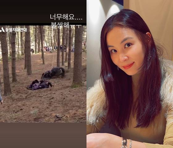 /사진=고소영 인스타그램, 동물자유연대