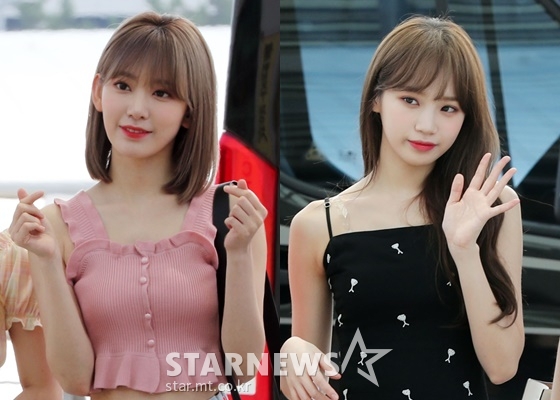 사쿠라(왼쪽)와 김채원 /사진=스타뉴스
