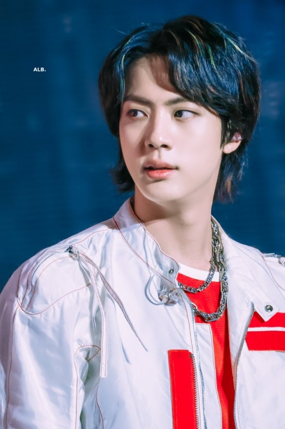 방탄소년단 진(BTS JIN)