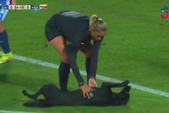 여자 축구 칠레-베네수엘라전 도중 난입한 개를 여성 심판이 어루만지며 달래고 있다. /사진=데일리 스타