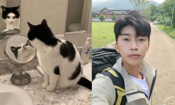 임영웅, 집사 데뷔 인증? 정체 모를 고양이에 관심 임영웅, 집사 데뷔 인증? 정체 모를 고양이에 관심