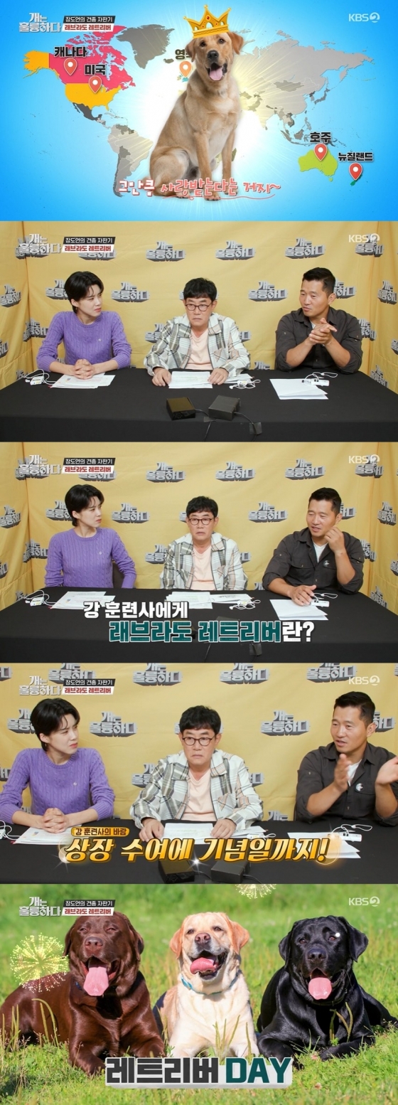 /사진=KBS 2TV 예능 프로그램 &#039;개는 훌륭하다&#039; 방송화면