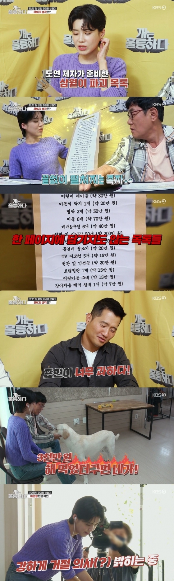 /사진=KBS 2TV 예능 프로그램 &#039;개는 훌륭하다&#039; 방송화면