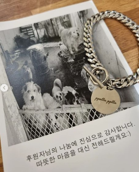 /사진=조예영 인스타그램