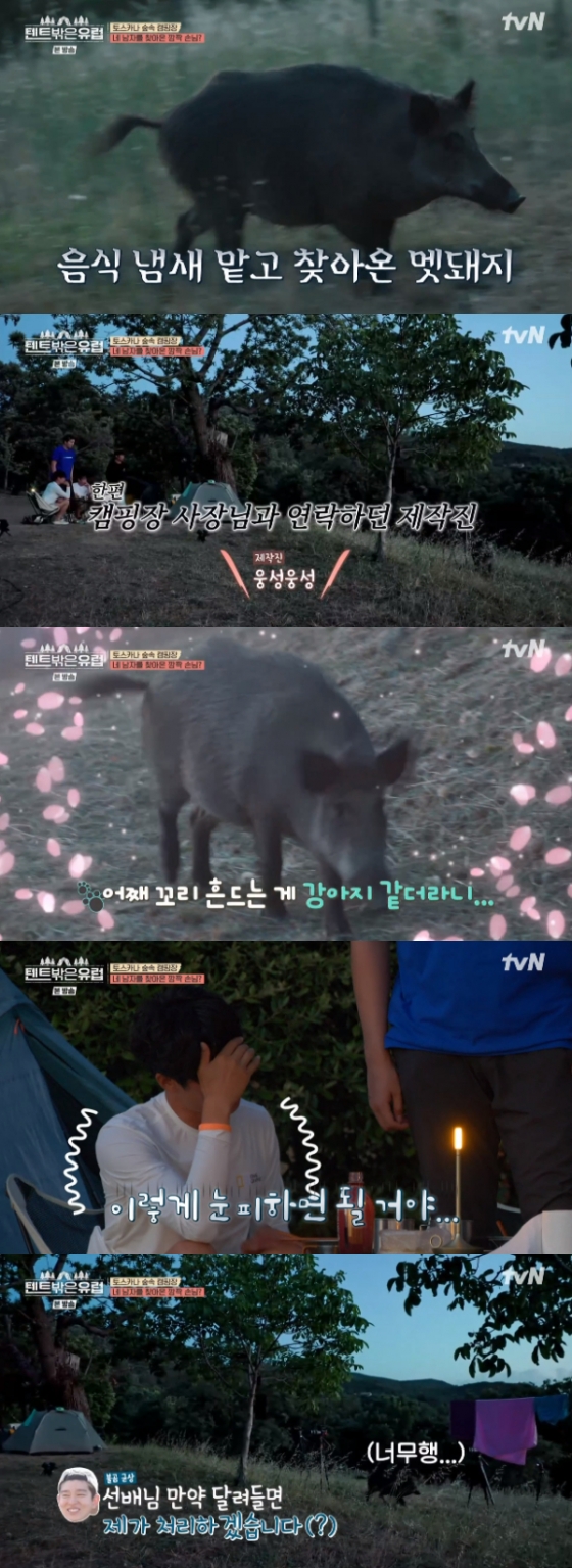 /사진=&#039;텐트 밖은 유럽&#039; 방송화면