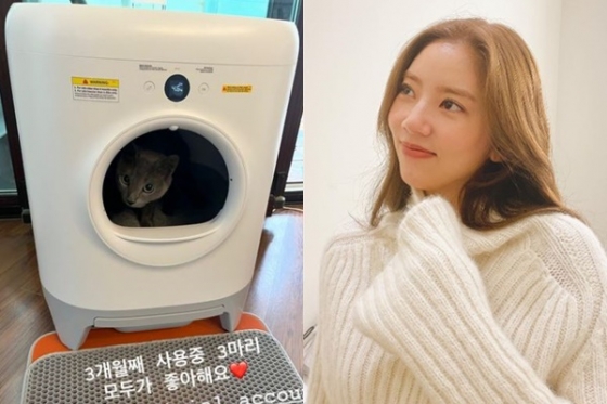 /사진=손담비 인스타그램