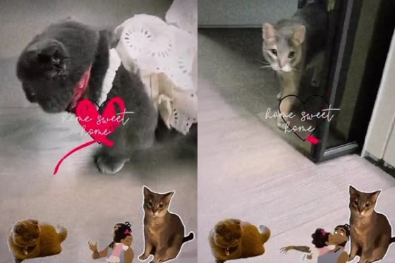 /사진=지드래곤 인스타그램