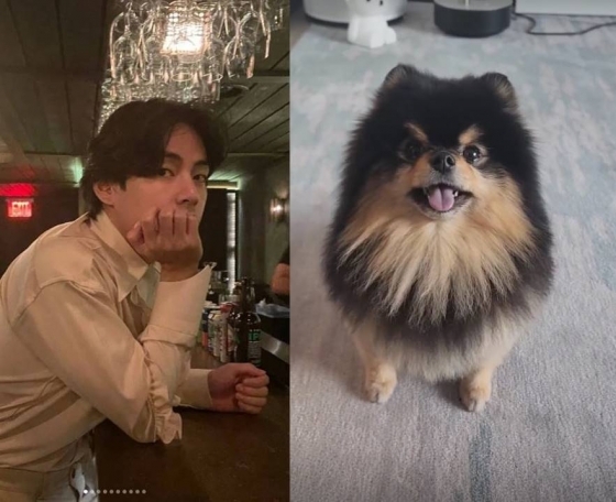 /사진=뷔 인스타그램