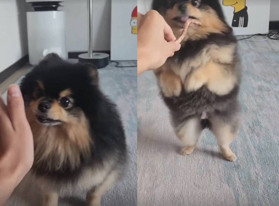 /사진=뷔 인스타그램