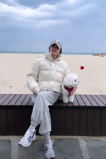/사진=송혜교