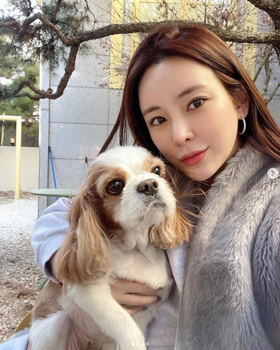 what breed dog does exid junghwa have