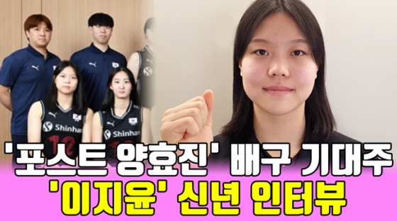 /그래픽=이원희 기자
