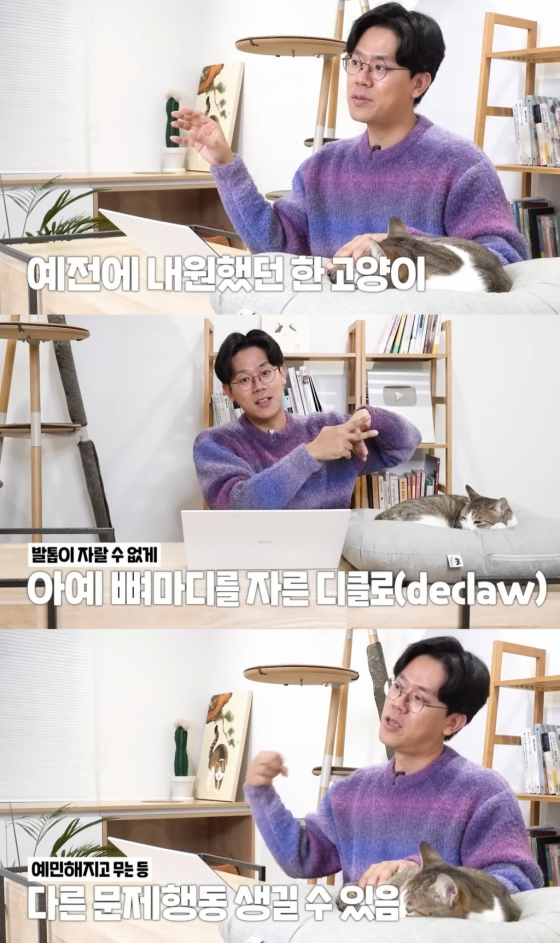 /사진=유튜브 채널 &#039;미야옹철의 냥냥펀치&#039; 영상 캡처