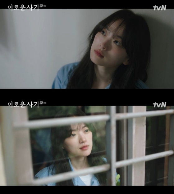 /사진=tvN &#039;이로운 사기&#039; 방송 캡처 