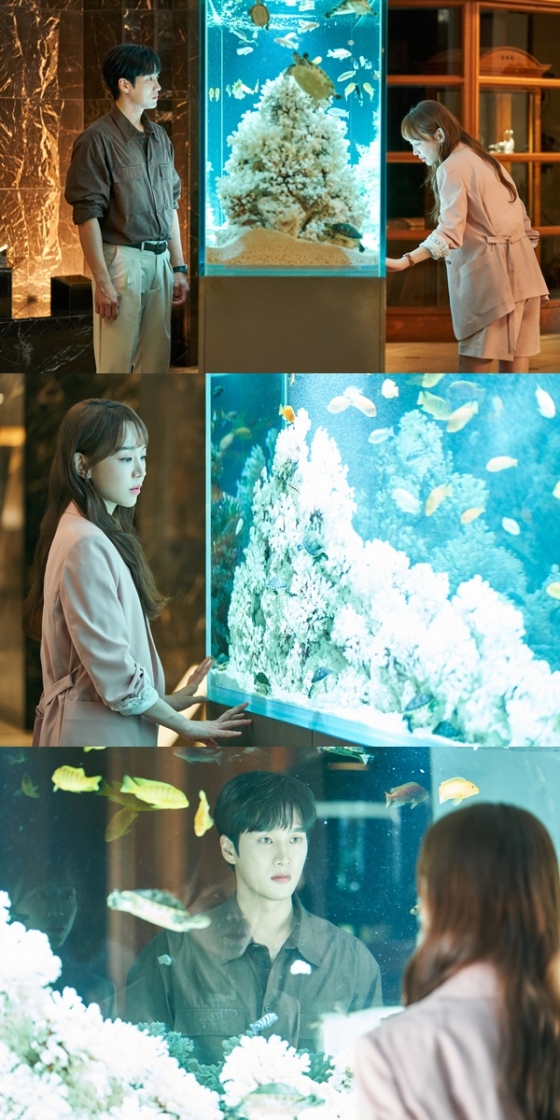 사진제공=tvN &#039;이번 생도 잘 부탁해