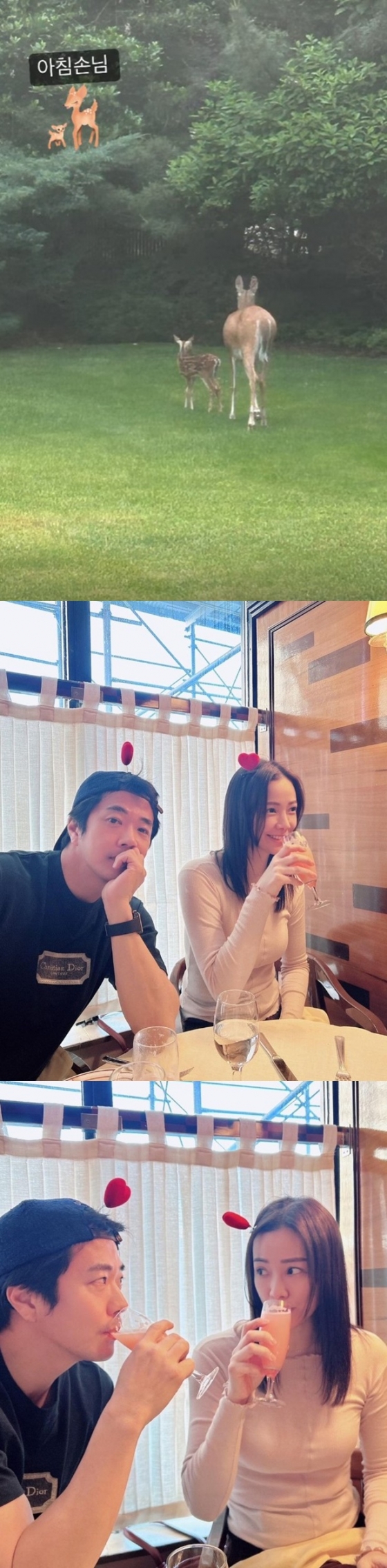 /사진=손태영 인스타그램