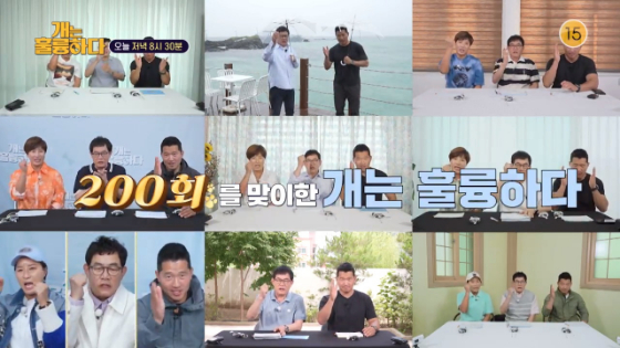200회를 맞이한 KBS 2TV &#039;개는 훌륭하다&#039;./사진=KBS 2TV &#039;개는 훌륭하다&#039;