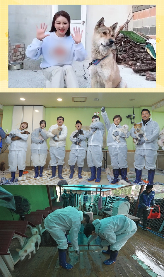 KBS 2TV &#039;개는 훌륭하다&#039;./사진=KBS 2TV &#039;개는 훌륭하다&#039;