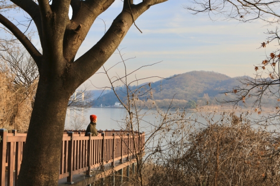 물왕호수 산책 데크(이시우 촬영)