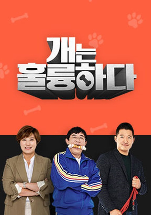 /사진제공=KBS &#039;개는 훌륭하다&#039;