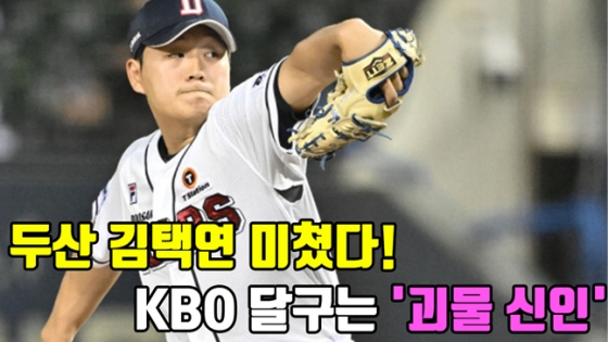 /그래픽=이원희 기자