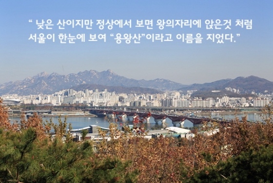 /사진=양천구청 홈페이지 캡쳐