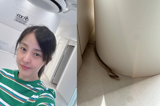 /사진=박은혜