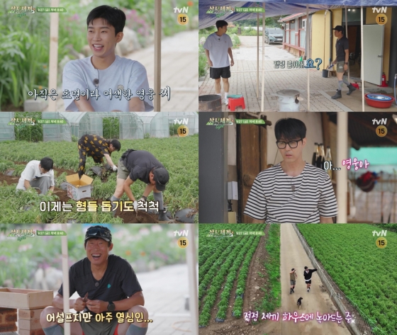 /사진=&#039;삼시세끼 Light&#039;