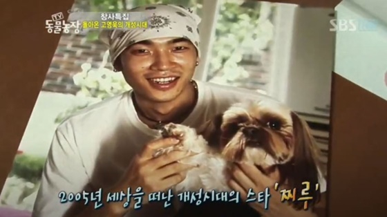 /사진=SBS &#039;TV 동물농장&#039; 캡처