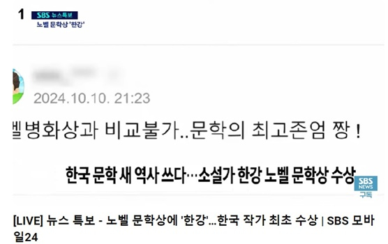 /사진=SBS 뉴스 유튜브 영상 캡처