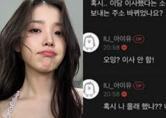 /사진=아이유 인스타그램, 아이유 팬카페 캡처