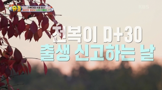 /사진=KBS 2TV &#039;슈퍼맨이 돌아왔다&#039;