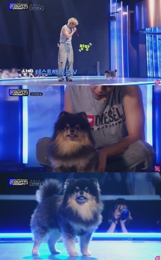 /사진=엠넷 &#039;엠카운트다운&#039; 방송 캡처