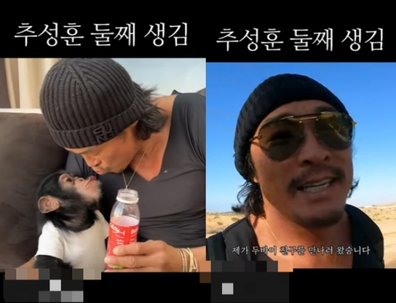 /사진=추성훈