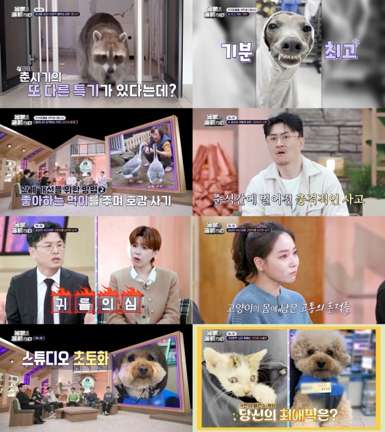 /사진=&#039;동물은 훌륭하다&#039; 방송 화면 