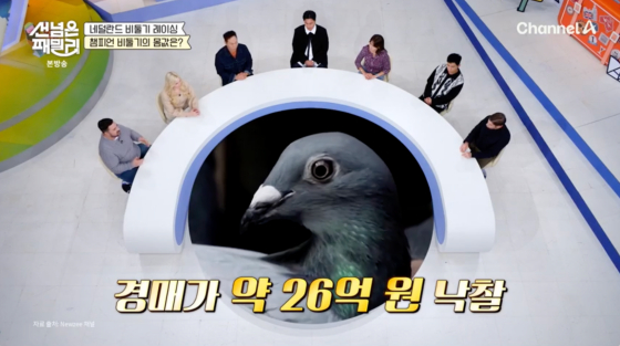/사진=채널A 방송화면