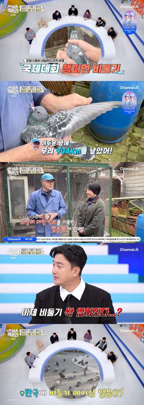 /사진=채널A 방송화면