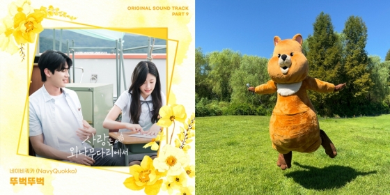 /사진=스튜디오 마음C, 스튜디오드래곤, 네이비쿼카(NavyQuokka)