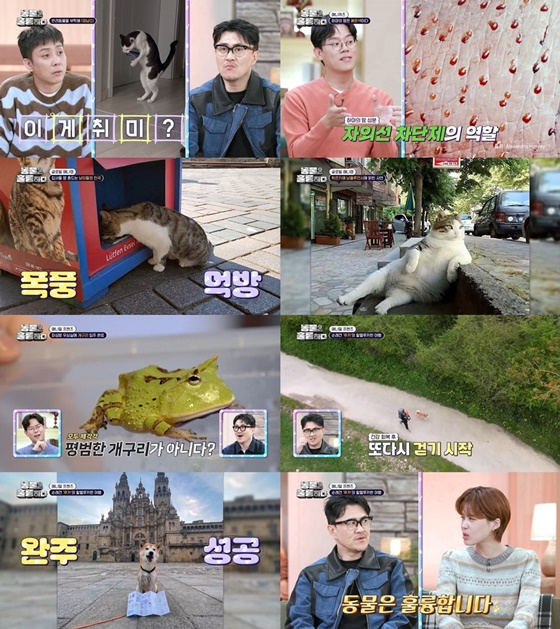 /사진=KBS 2TV