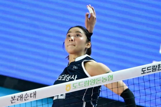 한국도로공사의 타나차가 24일 김천실내체육관에서 열린 도드람 2024~2025 V리그 여자부 정규시즌 3라운드 홈경기에서 공격을 시도하고 있다. /사진=한국배구연맹 제공