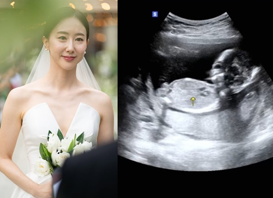/사진=전성초