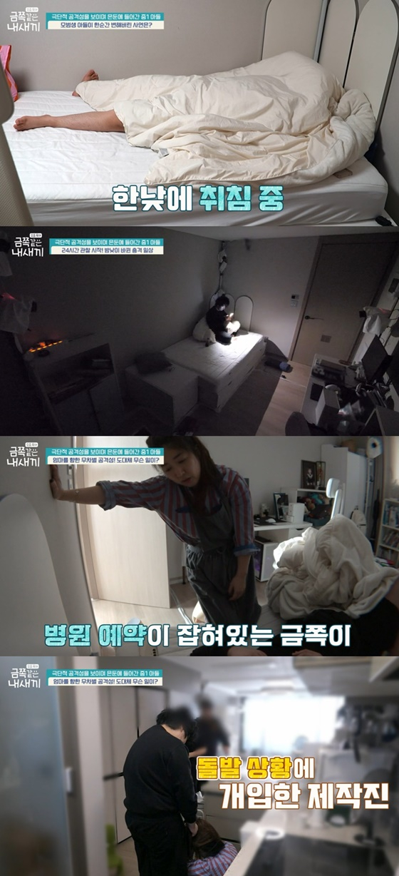 /사진=채널A &#039;금쪽같은 내새끼&#039; 캡처