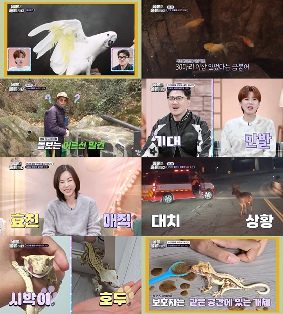 /사진=KBS 2TV &#039;동물은 훌륭하다&#039;