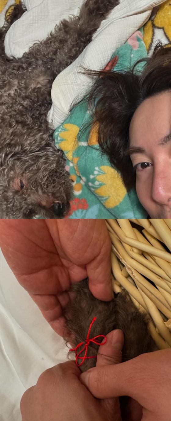 /사진=김형준 인스타그램