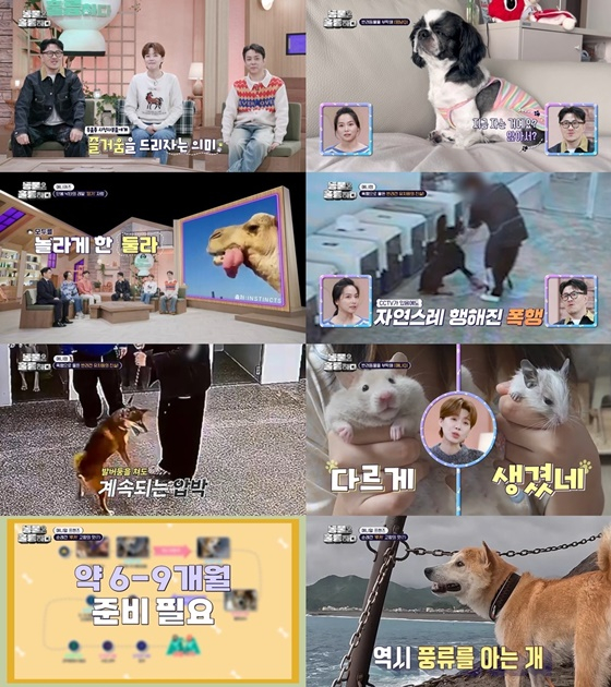 /사진=KBS 2TV